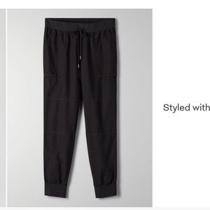 Community by Aritzia joggers (ion pant)